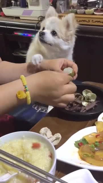 来看我吧在线观看土豆,揭秘“根据来看我吧”幕后故事