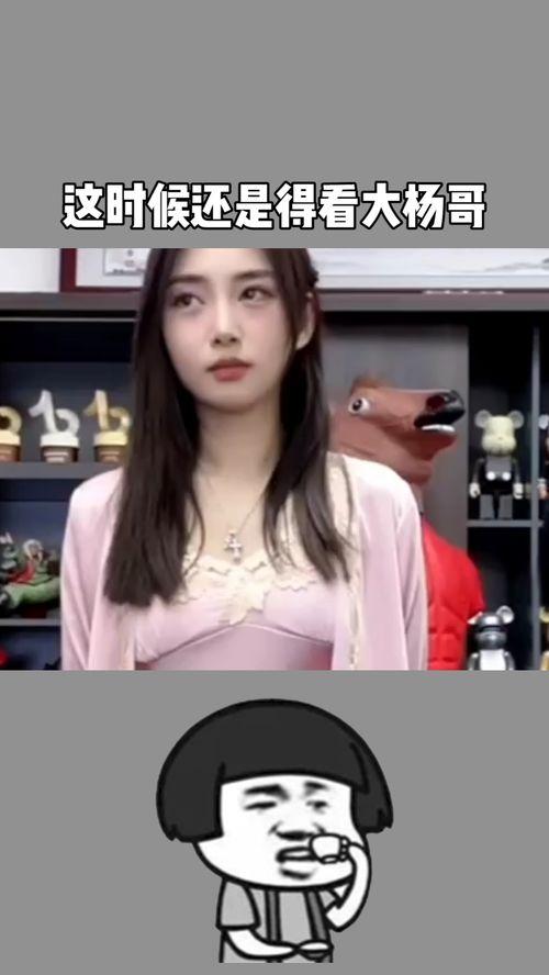 杨哥食材爆料视频,揭秘厨房里的秘密食材  第3张 杨哥食材爆料视频,揭秘厨房里的秘密食材  第3张