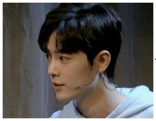 肖战负面新闻 爆料,真相与反思  第2张 肖战负面新闻 爆料,真相与反思  第2张