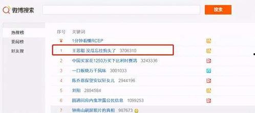 吃网红瓜的网址,探寻网络热点背后的真相与秘密  第2张 吃网红瓜的网址,探寻网络热点背后的真相与秘密  第2张