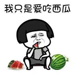 娱乐吃瓜好看吗,一场视觉盛宴的感官之旅  第2张 娱乐吃瓜好看吗,一场视觉盛宴的感官之旅  第2张