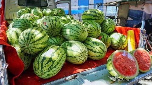 荷兰网红吃瓜事件真相是真的吗,真相揭秘,是真是假?  第3张 荷兰网红吃瓜事件真相是真的吗,真相揭秘,是真是假?  第3张