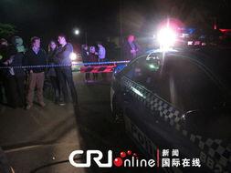 警戒线在线观看,揭秘在线观看背后的安全防线  第2张 警戒线在线观看,揭秘在线观看背后的安全防线  第2张