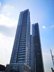 2019前海湾最新爆料,最新爆料揭示惊人真相!”  第3张 2019前海湾最新爆料,最新爆料揭示惊人真相!”  第3张