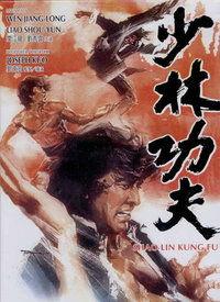 功夫在线高清在线观看,高清盛宴,一招一式尽展中华武术魅力  第2张 功夫在线高清在线观看,高清盛宴,一招一式尽展中华武术魅力  第2张