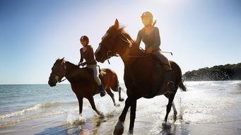 网红骑马爆料视频播放下载,播放下载量惊人！  第3张