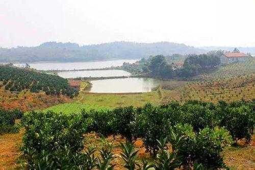 农场西南农庄爆料视频,农场爆料视频带你探秘田园生活  第2张 农场西南农庄爆料视频,农场爆料视频带你探秘田园生活  第2张