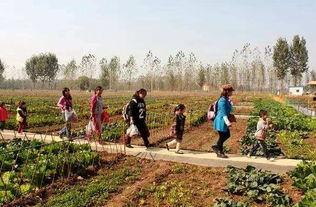 农场西南农庄爆料视频,农场爆料视频带你探秘田园生活  第3张 农场西南农庄爆料视频,农场爆料视频带你探秘田园生活  第3张
