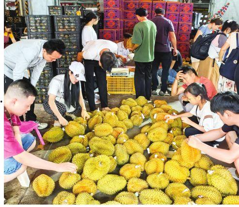 南宁水果爆料案件最新情况,真相大白,涉案人员悉数落网  第3张 南宁水果爆料案件最新情况,真相大白,涉案人员悉数落网  第3张